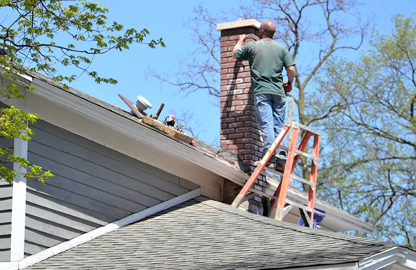 Chimney & Fireplace Inspections Services in Clarksdale, MS